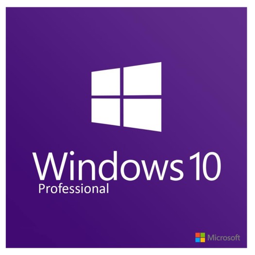 Windows 10 professional 64 bit